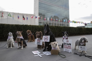 São Paulo: The Body Shop realiza ato contra testes em animais na Avenida Paulista