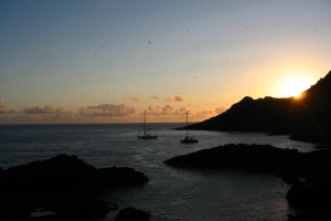 As deslumbrantes reservas naturais da Ilha da Madeira