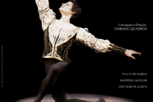 Os príncipes do Ballet