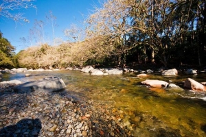 Carnaval na área rural de Joinville tem diversão e natureza