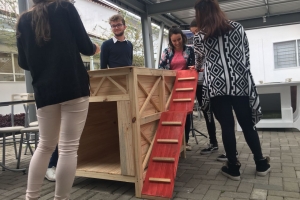 Alunos do curso de Arquitetura e Urbanismos da Católica/SC finalizam projeto que beneficia pets