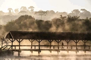 (Re)Descubra Curitiba/PR através das lentes do fotógrafo Daniel Castellano