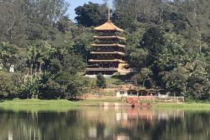 10 razões para conhecer a maior Torre Japonesa do Brasil